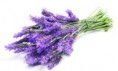 MASCARILLA PEEL OFF  LAVANDA + OLIVA BIO   400gr. 